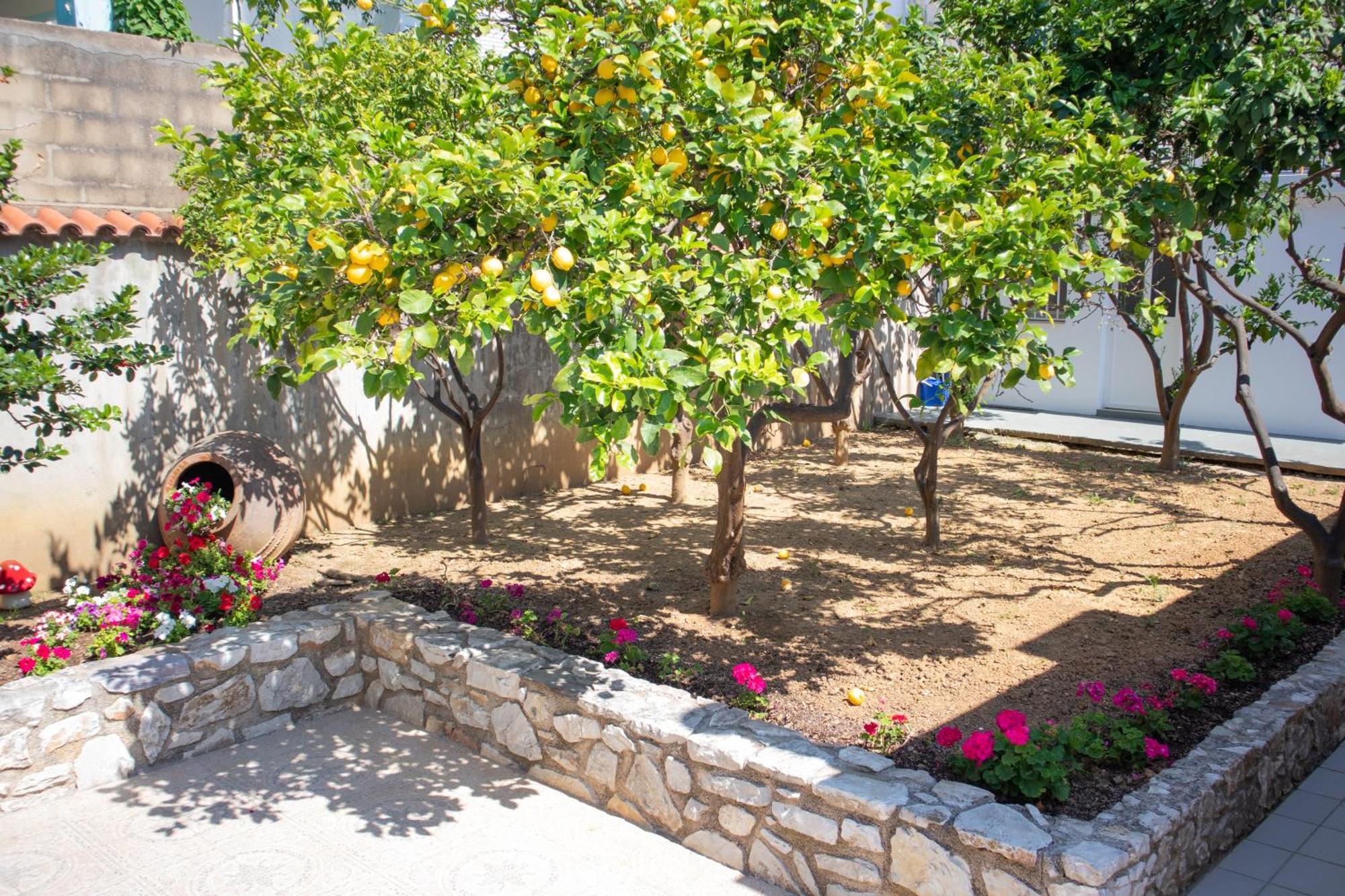 Athanasia Apartments Skiathos Town Exterior photo